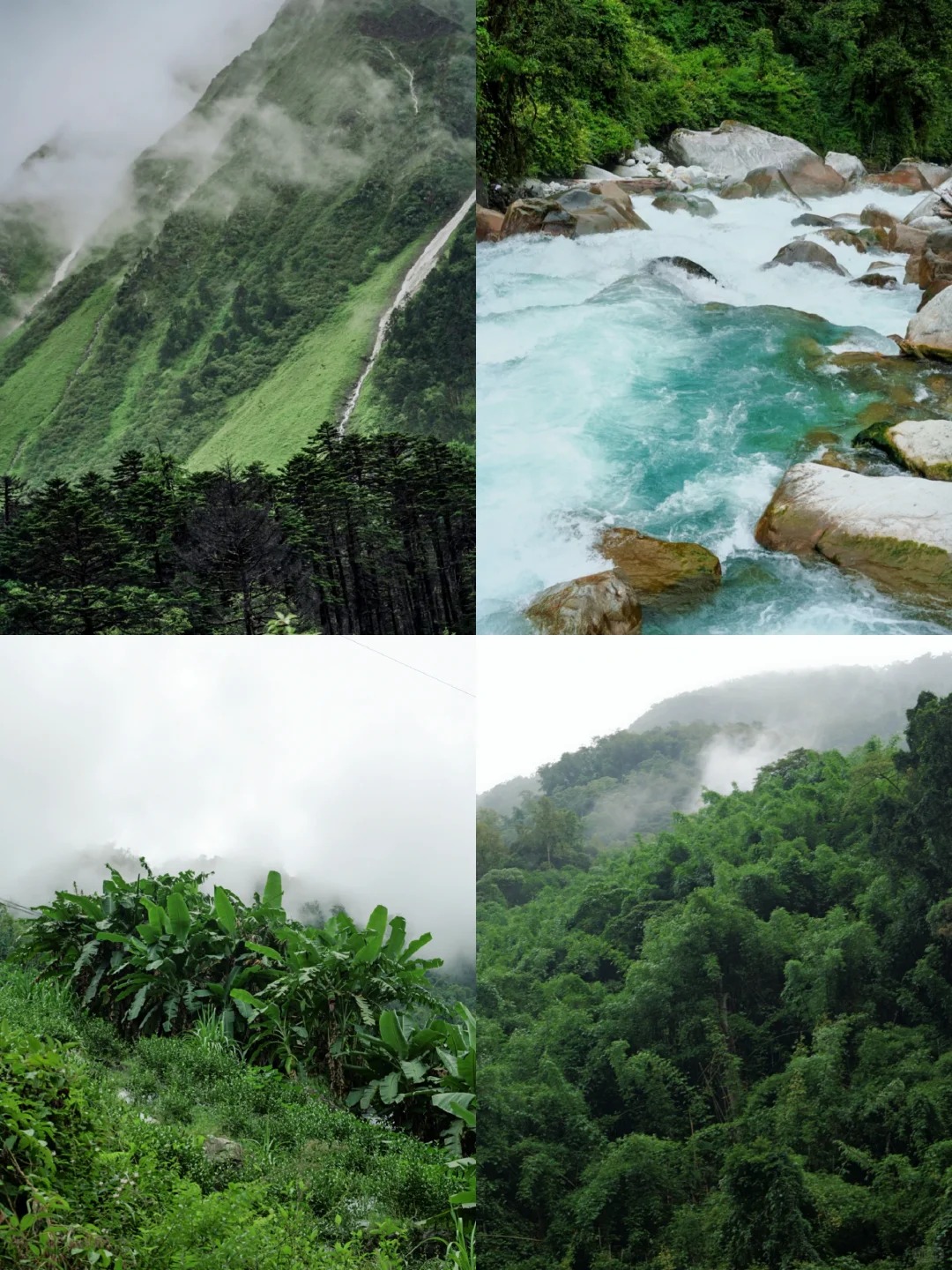 西藏墨脱,世界上最后一个秘境_1_窥山_墨脱-来自52tours 我爱旅游网